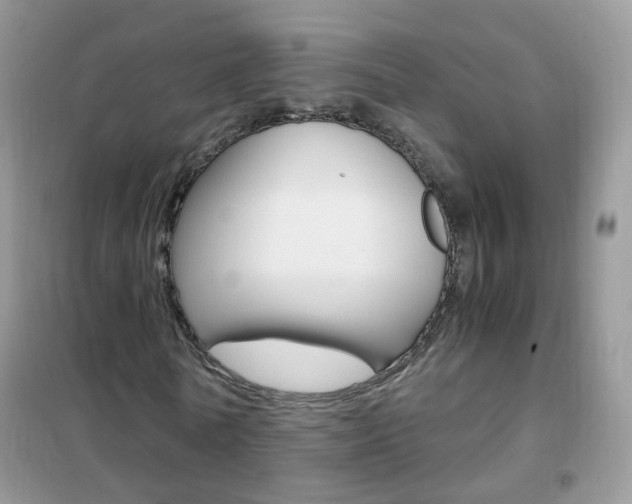 X0000102340770200808010912