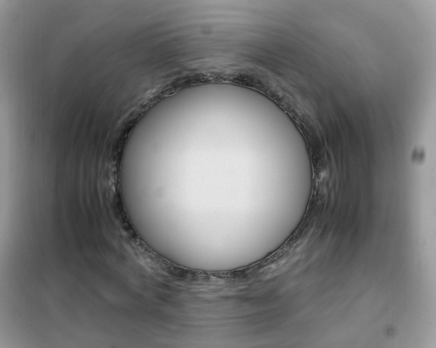 X0000102340772200808010912