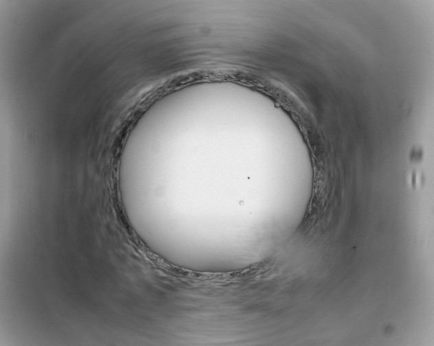X0000102340773200808010912