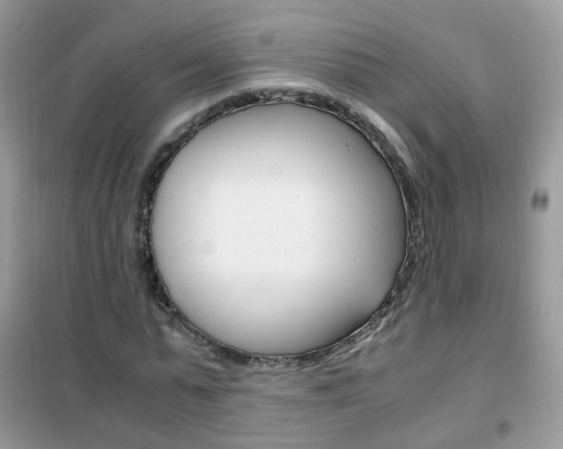 X0000102340775200808010912