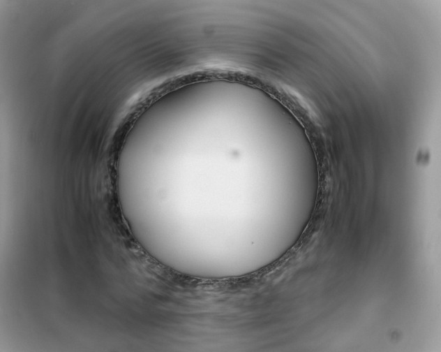 X0000102340776200808010912