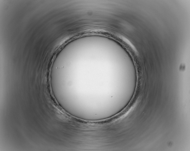 X0000102340777200808010912