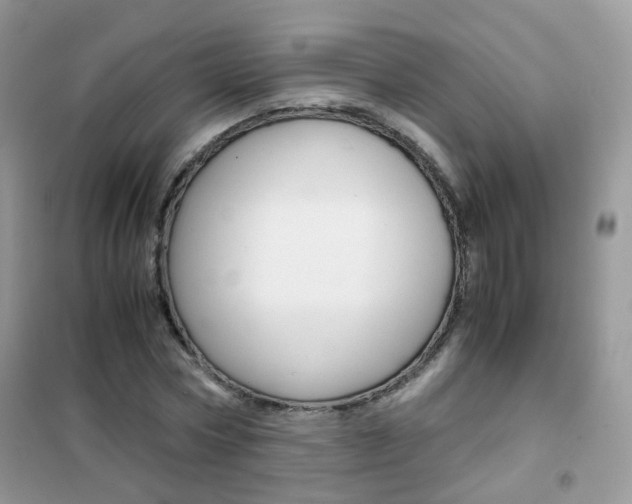 X0000102340778200808010912