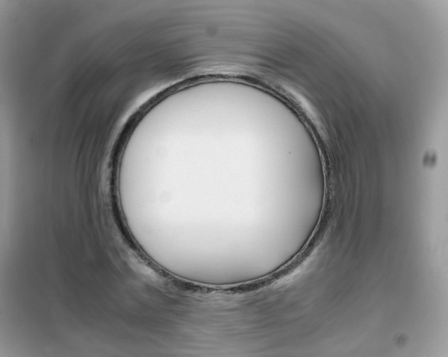 X0000102340779200808010912
