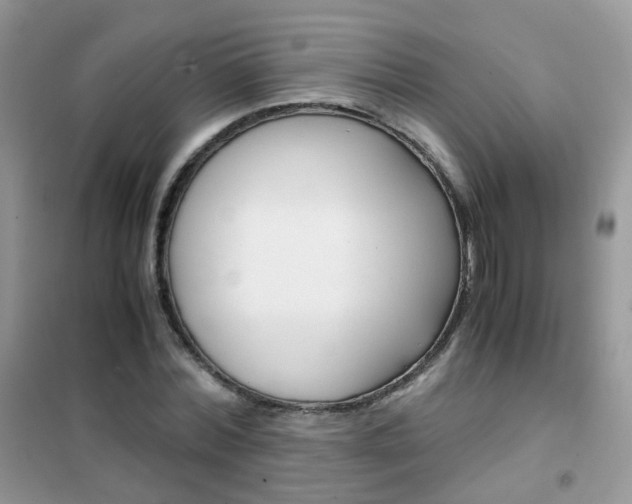 X0000102340780200808010912