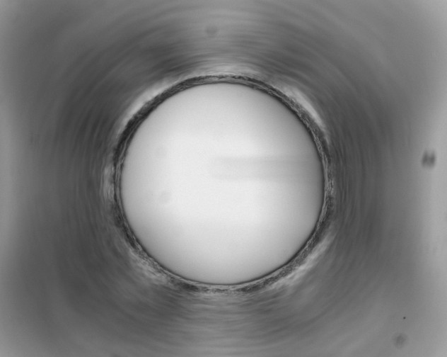 X0000102340781200808010912