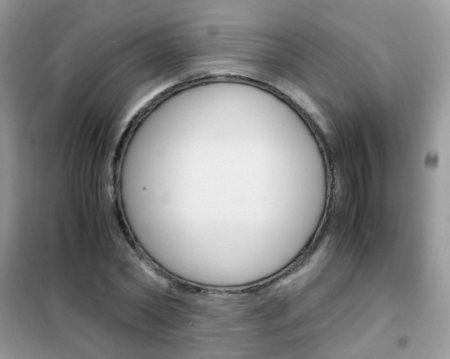 X0000102340782200808010912