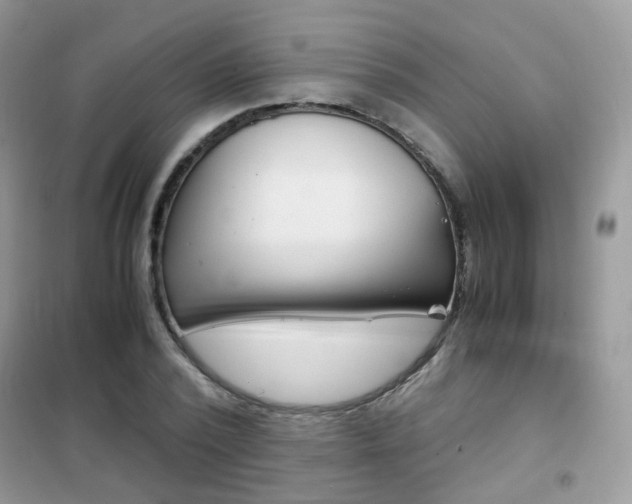 X0000102340784200808010912