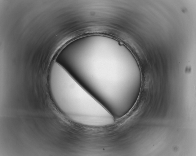 X0000102340786200808010912