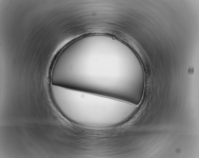 X0000102340787200808010912