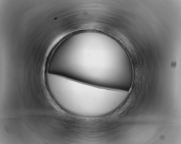 X0000102340788200808010911