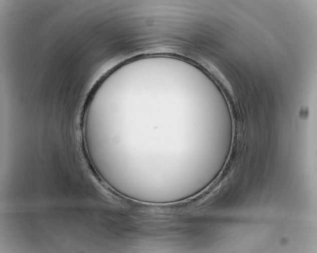 X0000102340789200808010911