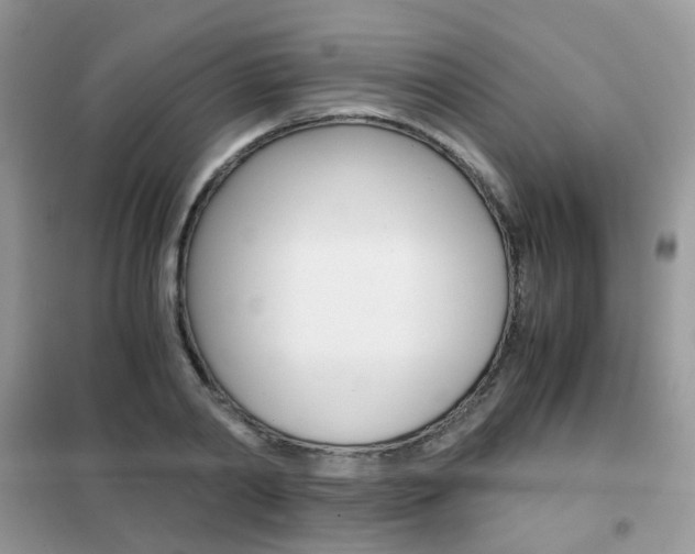 X0000102340790200808010911