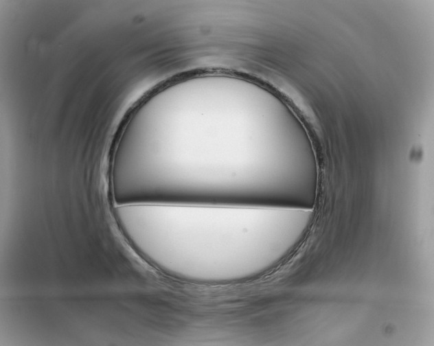 X0000102340791200808010911