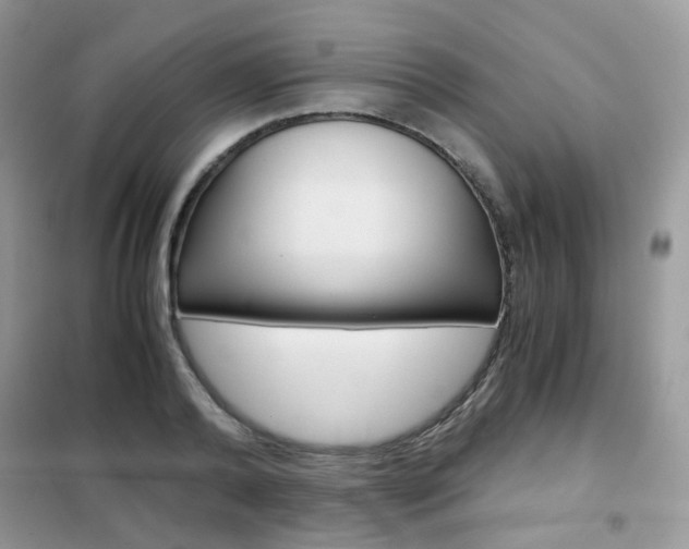 X0000102340792200808010911
