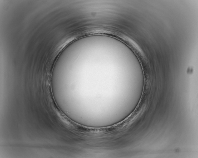 X0000102340793200808010911
