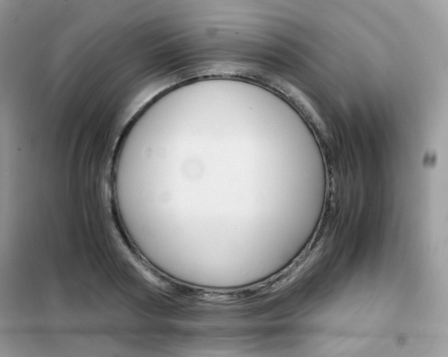 X0000102340794200808010911