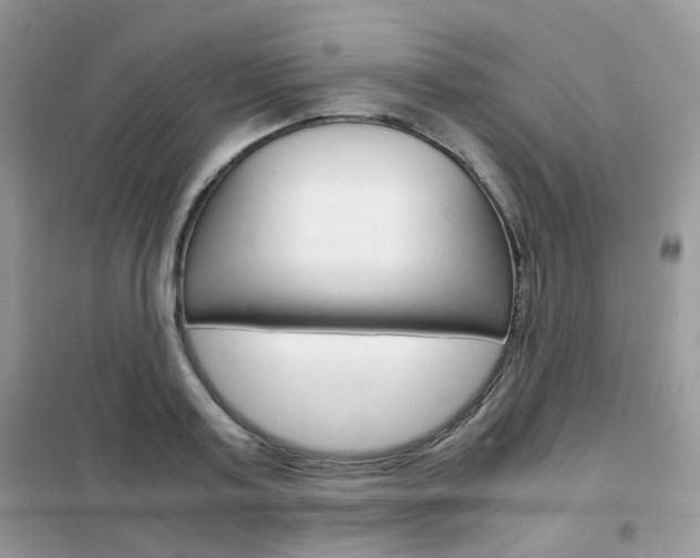 X0000102340795200808010911