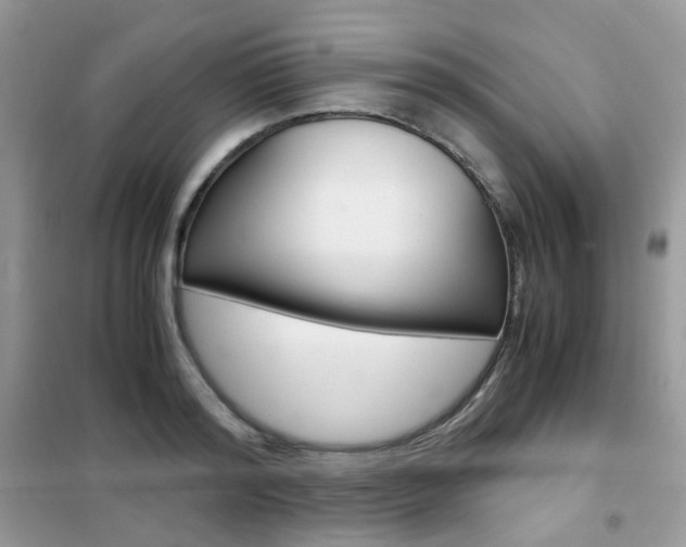 X0000102340796200808010911