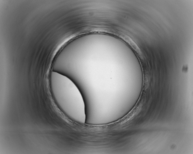 X0000102340798200808010911