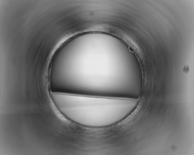 X0000102340800200808010911