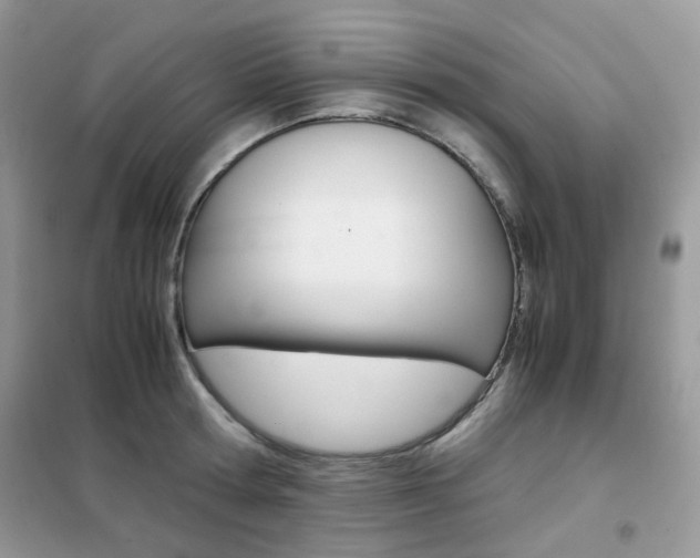 X0000102340802200808010911