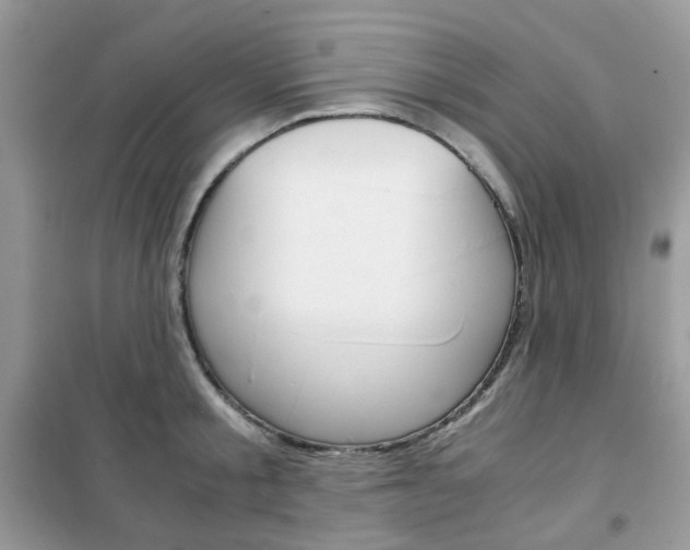 X0000102340805200808010911