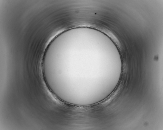 X0000102340806200808010911