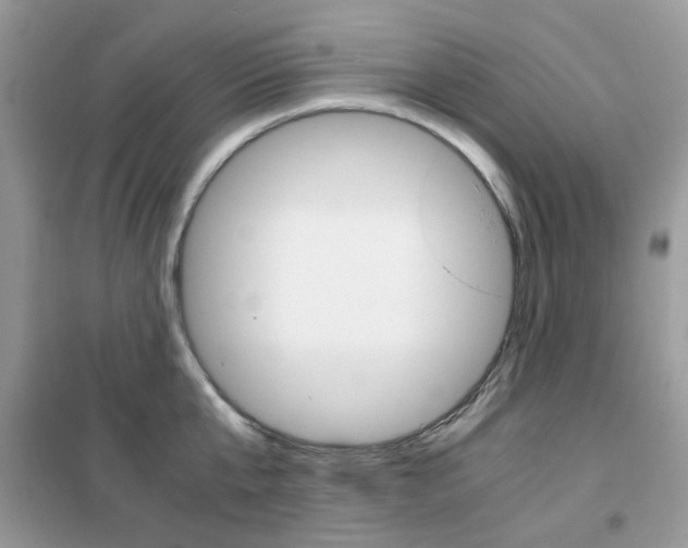 X0000102340807200808010911