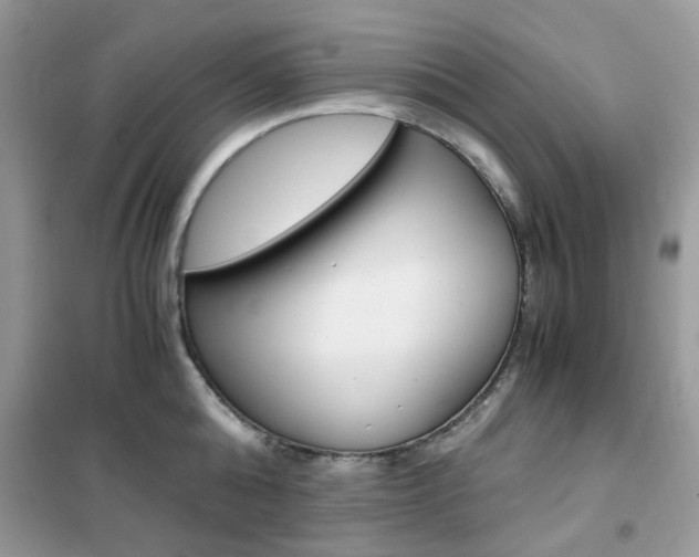 X0000102340808200808010911