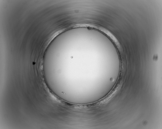 X0000102340809200808010911