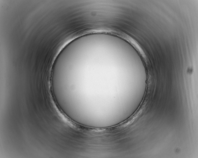 X0000102340810200808010911