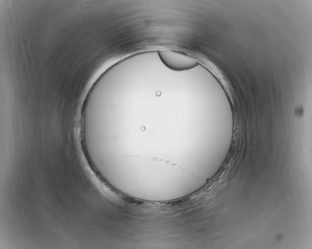 X0000102340811200808010911