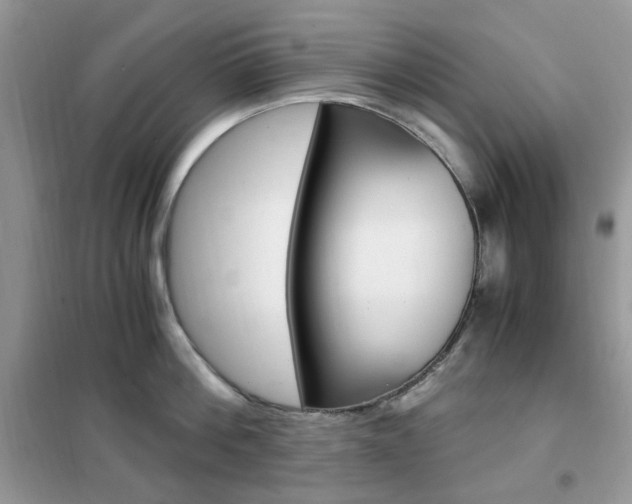 X0000102340812200808010911