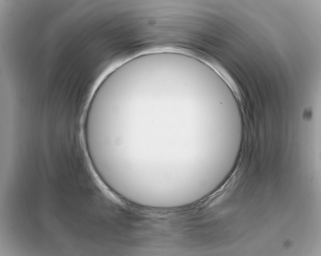 X0000102340813200808010911