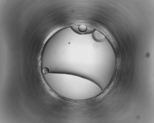 X0000102340814200808010911