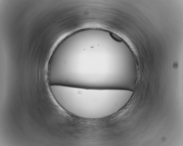 X0000102340815200808010911