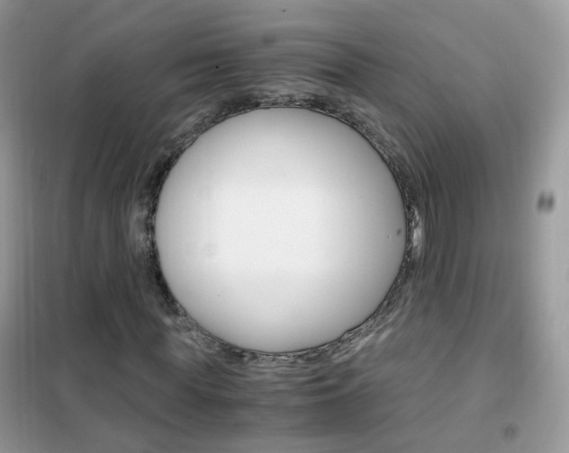 X0000102340819200808010910