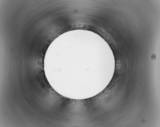 X0000102340820200808010910