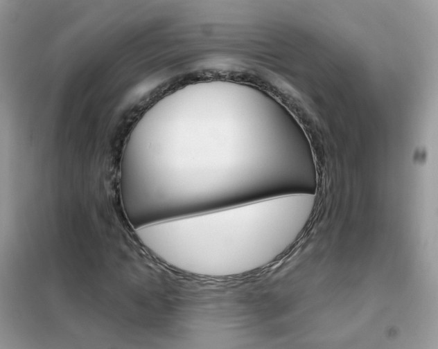 X0000102340822200808010910