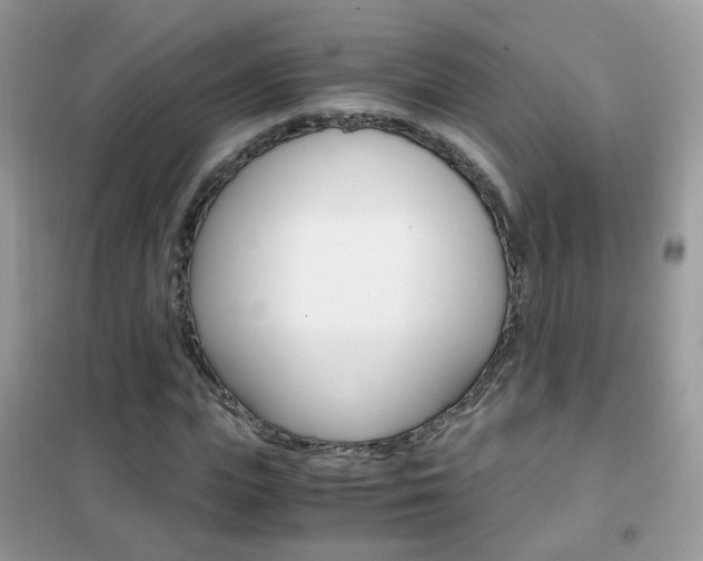 X0000102340823200808010910