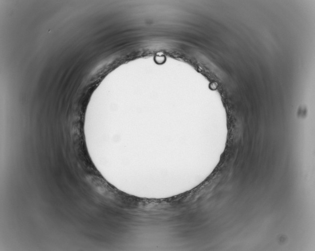 X0000102340824200808010910