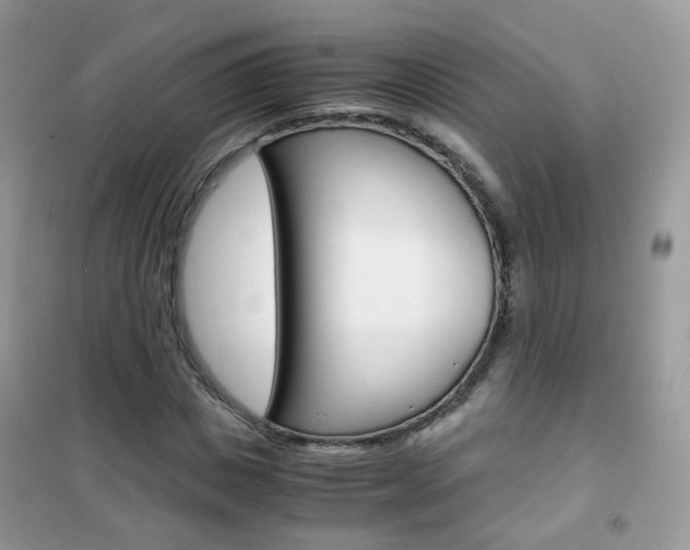 X0000102340825200808010910