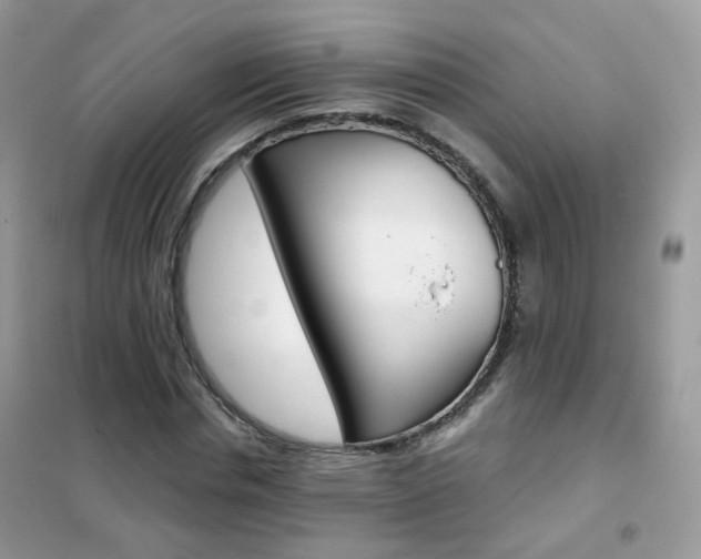 X0000102340826200808010910