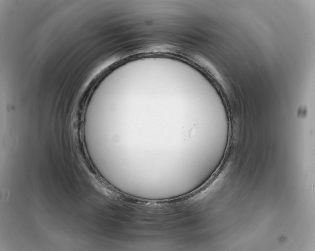 X0000102340827200808010910