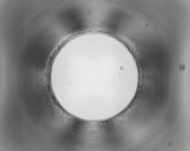 X0000102340828200808010910