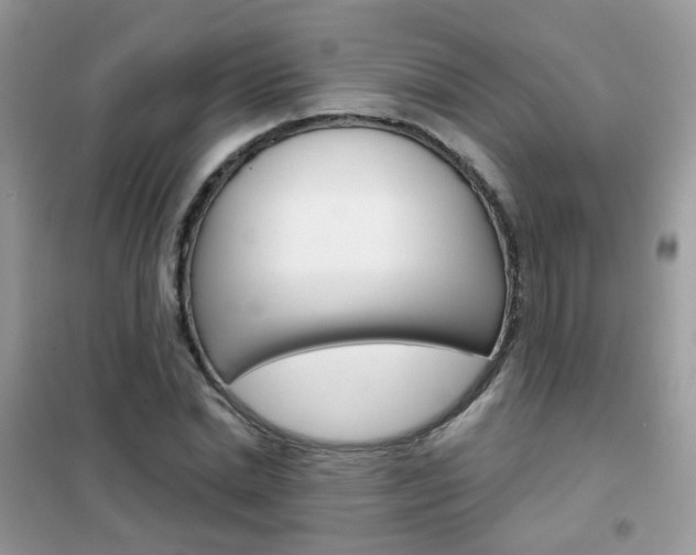 X0000102340830200808010910
