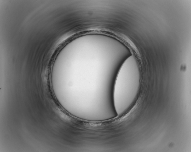 X0000102340831200808010910
