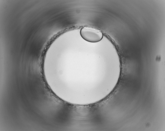 X0000102340832200808010910