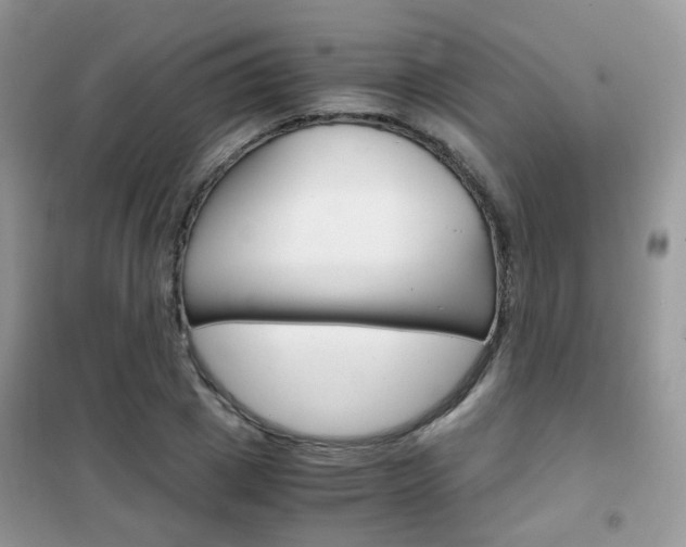 X0000102340833200808010910
